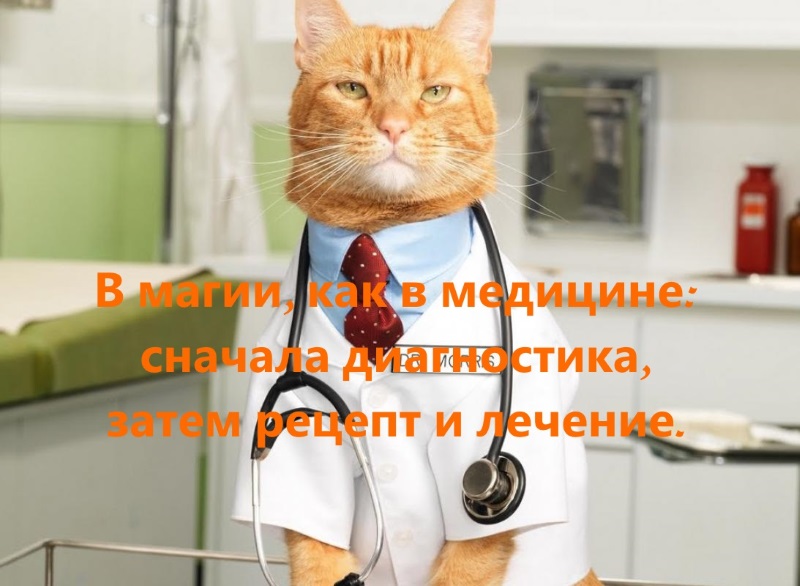 Как становятся ведьмами  или С чего начать новичку - Тридевятое Царство