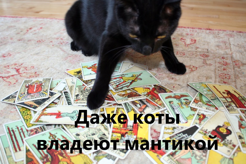 Как становятся ведьмами  или С чего начать новичку - Тридевятое Царство