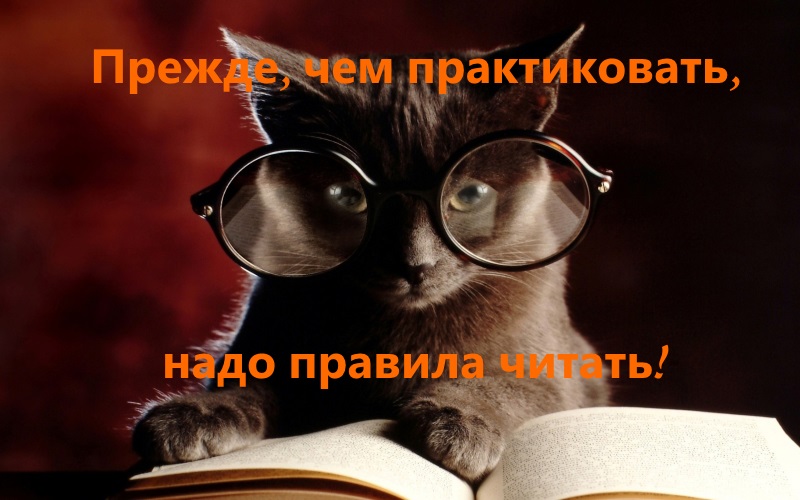 Как становятся ведьмами или С чего начать новичку - Тридевятое Царство Как становятся ведьмами или С чего начать новичку - Тридевятое Царство